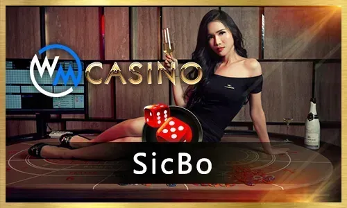 Live Casino Game Guide